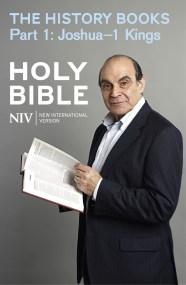 NIV Bible: the History Books - Part 1