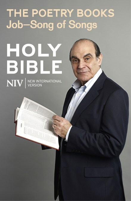 NIV Bible: the Poetry Books