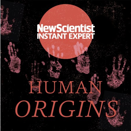 Human Origins