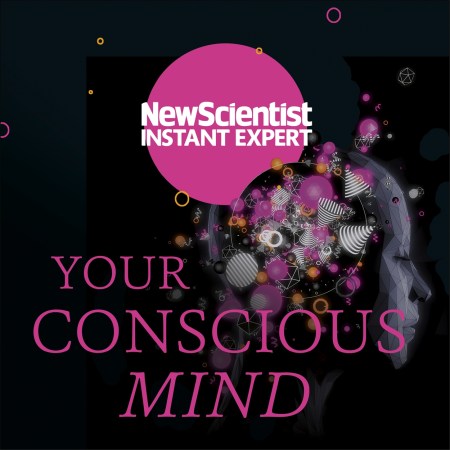 Your Conscious Mind