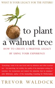 To Plant A Walnut Tree