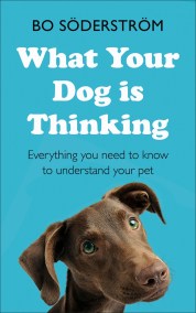 What Your Dog Is Thinking